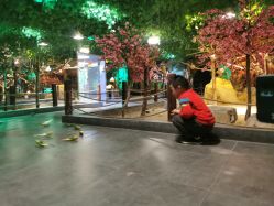 -酷嗒动物文化乐园(cutezoo西溪乐天城店)