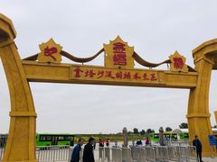-金塔沙漠胡杨林景区