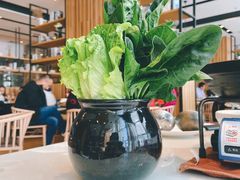 青菜-虾饺妹·酒家(海珠广场店)