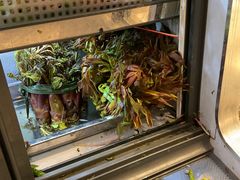 -阿才景东带皮牛肉馆(茶林苑店)