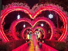 -厦门方特梦幻王国