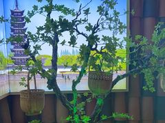 -筱爷叔·上海传统手工菜(玉树路店)