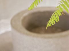 -二酉书店TOYOU BOOKS