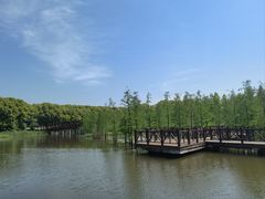 -同里国家湿地公园