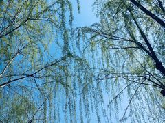 -宁波儿童公园(鄞州区)