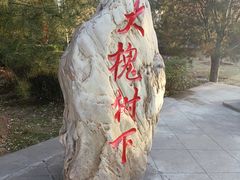 -大槐树寻根祭祖园