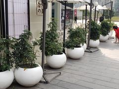 -奈雪的茶(东原悦荟店)