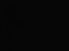 -新侗家食府(蟠桃宫店)