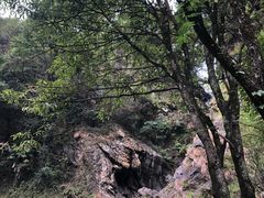 -石台牯牛降景区