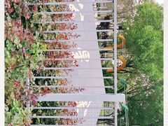 -金星公园