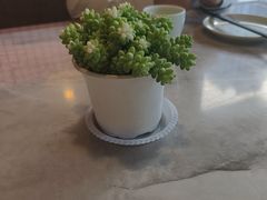 -船歌·鱼水饺青岛菜(石老人店)