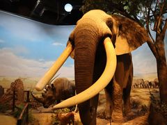 -陕西自然博物馆