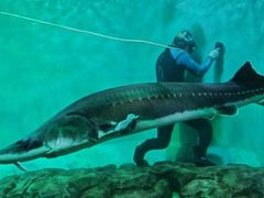 -太平洋海底世界