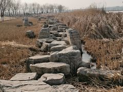 -绿堤公园