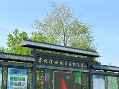 -合肥滨湖国家森林公园