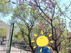 -黛秀湖公园