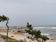 -渡海小渔村.老辈日照菜