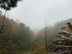-青城山