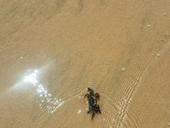 -日照海滨国家森林公园