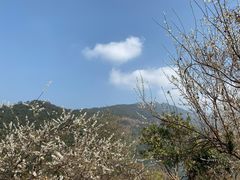 -广州市流溪河国家森林公园