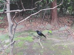 -东京国立博物馆