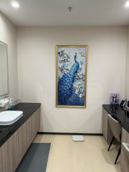 -北京楚诺医疗美容