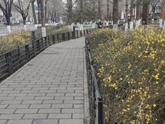 -半天妖烤鱼(东方新天地店)