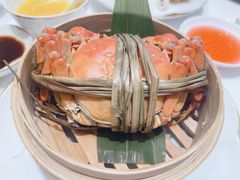 -京彩臻品火锅