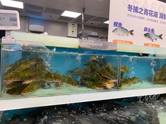 -盒马鲜生(大成店)