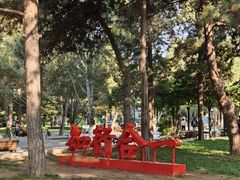 -中央民族大学
