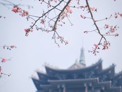 -杭州半山国家森林公园