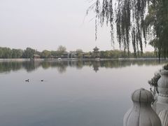 -东兴顺爆肚张