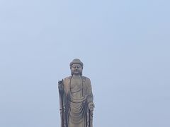 -中原大佛景区