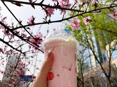 -瑞幸咖啡(清华科技园·唐诗主题店)