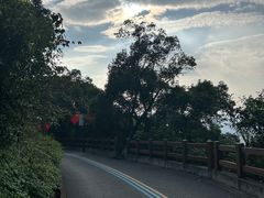 -杭州半山国家森林公园