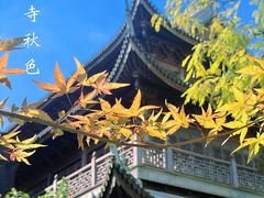 -龙华寺
