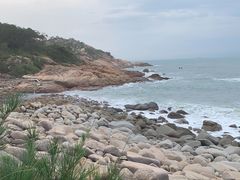 -广东惠东海龟国家级自然保护区