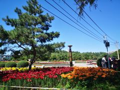 -长春公园(普阳街道)