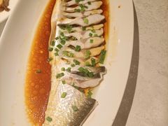 -金美华轩(东方路齐鲁店)