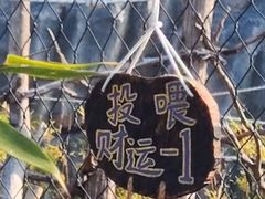 -武汉动物园