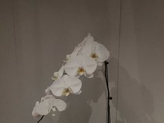 -明湖楼·经典鲁菜山东海鲜(大明湖店)