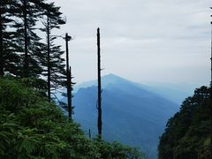 -瓦屋山景区