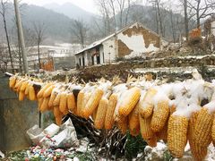-王顺山国家森林公园