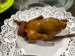 -石岐乳鸽村(南海第三分店)