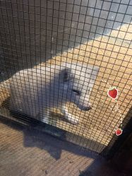 -酷嗒动物文化乐园(cutezoo西溪乐天城店)