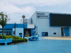 -芜湖新华联大白鲸海洋公园