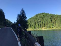 -武陵山森林公园