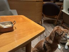 -THE CANNERY&JUJU 新鲜海鲜·牛排美食酒廊