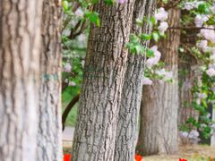 -哈尔滨文化公园