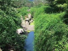 -浙江农林大学(东湖校区)